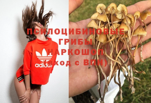 MESCALINE Аркадак