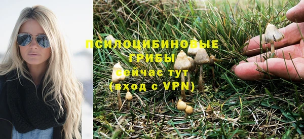 мяу мяу мука Армянск